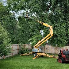 How Our Tree Care Process Works  in  New Freedom, PA